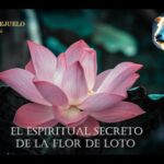 El loto es una flor sagrada: descubre su significado y propiedades